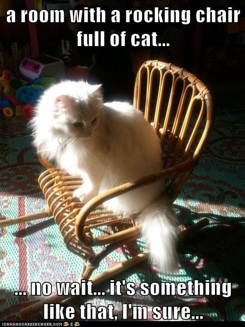 6 Benefits Of Adopting An Older Cat PetHub 6-benefits-of-adopting-an-older-cat-pethub